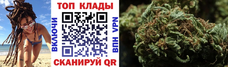Виды наркотиков купить Оса COCAIN  Бутират  Галлюциногенные грибы  Гашиш  Меф мяу мяу 