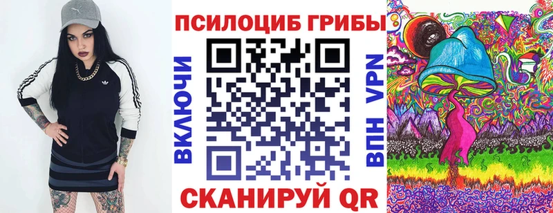 ссылка на мегу зеркало  Оса  Псилоцибиновые грибы Psilocybe 